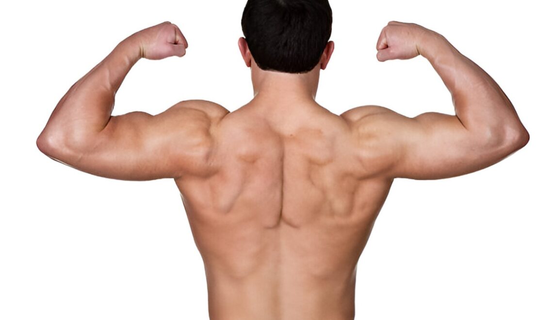 Rear Delt Exercises: Strengthen Your Shoulders for a Balanced Physique